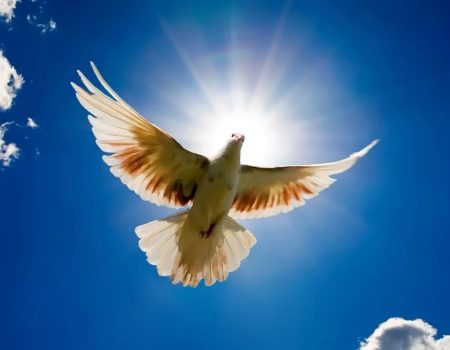 Когда отмечают Благовещение в 2026 году: главные запреты, приметы и что обязательно нужно сделать до праздника