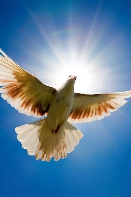 Когда отмечают Благовещение в 2026 году: главные запреты, приметы и что обязательно нужно сделать до праздника