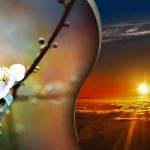 Когда весеннее равноденствие 2026 в Украине: дата, время, интересные факты