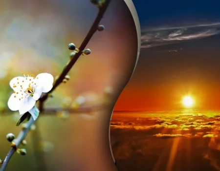 Когда весеннее равноденствие 2026 в Украине: дата, время, интересные факты