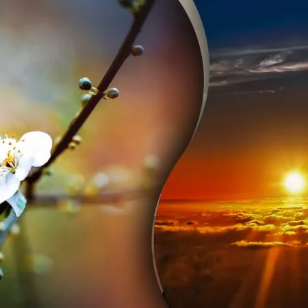 Когда весеннее равноденствие 2026 в Украине: дата, время, интересные факты