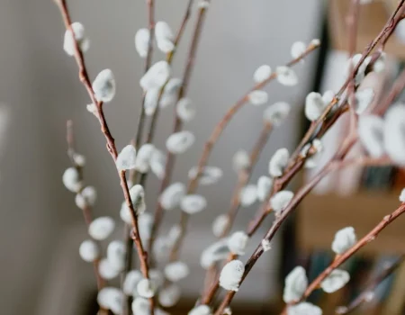 Когда Вербное воскресенье 2026: дата, традиции, значение праздника и поздравления